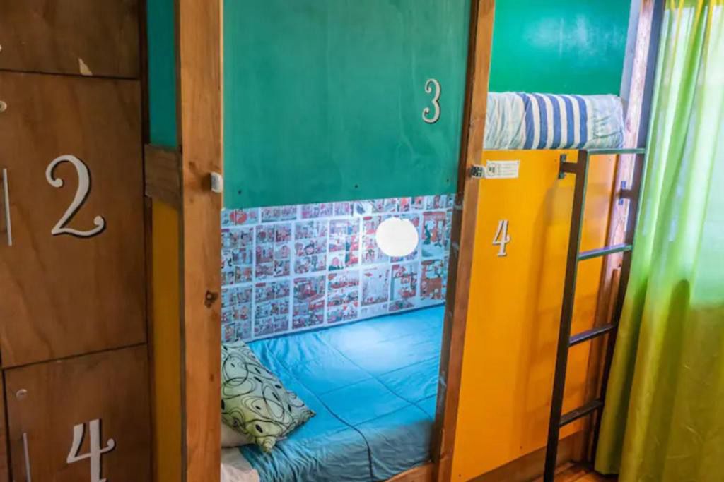 WhatsApp Image 2025-02-24 at 11.34.31