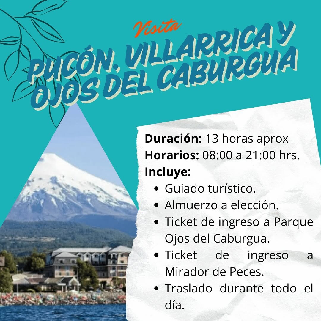 SaveClip.App_473959287_18360774691192303_123509227922578914_n