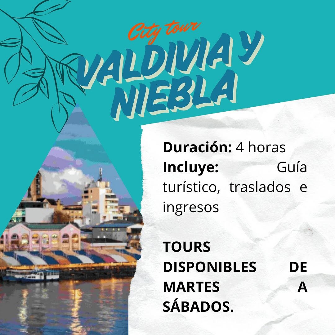 SaveClip.App_474605832_18360774778192303_8433842954199825231_n