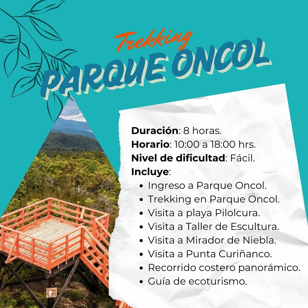 SaveClip.App_474759545_18360774664192303_5132969328427531132_n