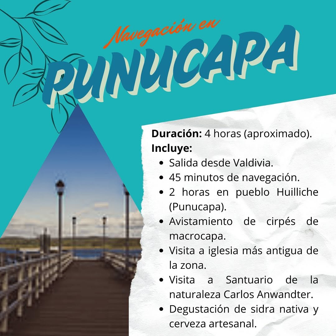 SaveClip.App_474890459_18360774775192303_2746758619651745646_n