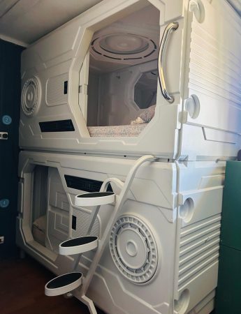 WhatsApp Image 2025-02-24 at 08.27.16 (1)